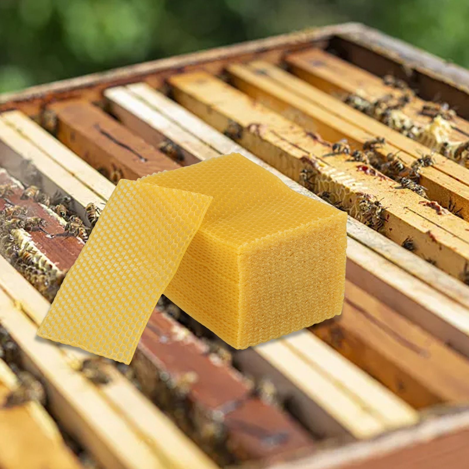 Arkuszki woskowe do budowy uli – Beeswax Sheet Roll recenzja i cena